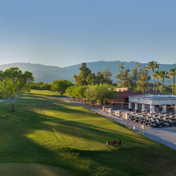 A scenic aerial view of Forty Niner Country Club in Tucson, Arizona. Lush green golf course stretches into the distance, framed by mountains and palm trees. A clubhouse and golf cart parking area are visible in the foreground. The sky is clear and blue.