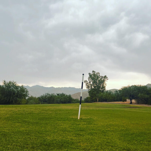 Forty Niner Country Club with a white and black pole marking a distance on the green. A tree stands to the right, and mountains are visible in the background. The sky is cloudy.